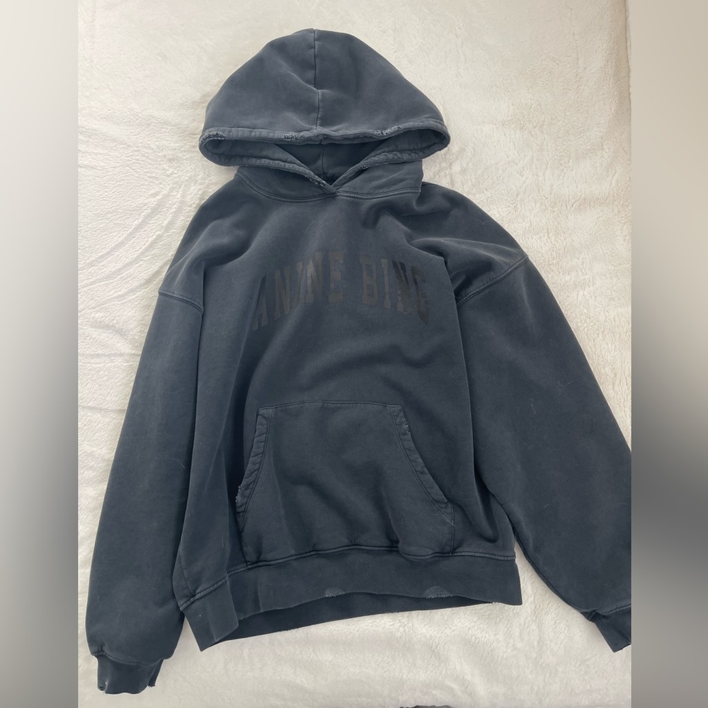 Anine bing hoodie